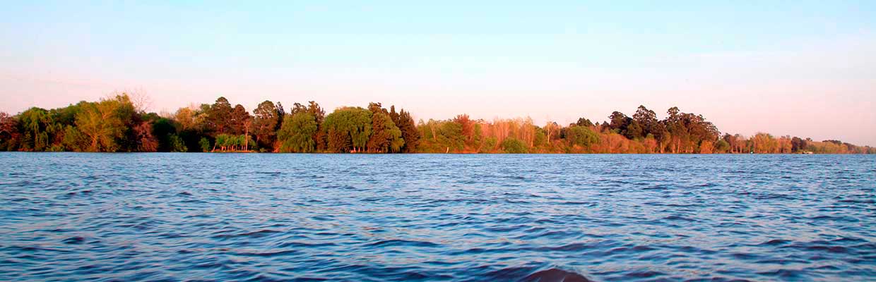Bahías del Paraná