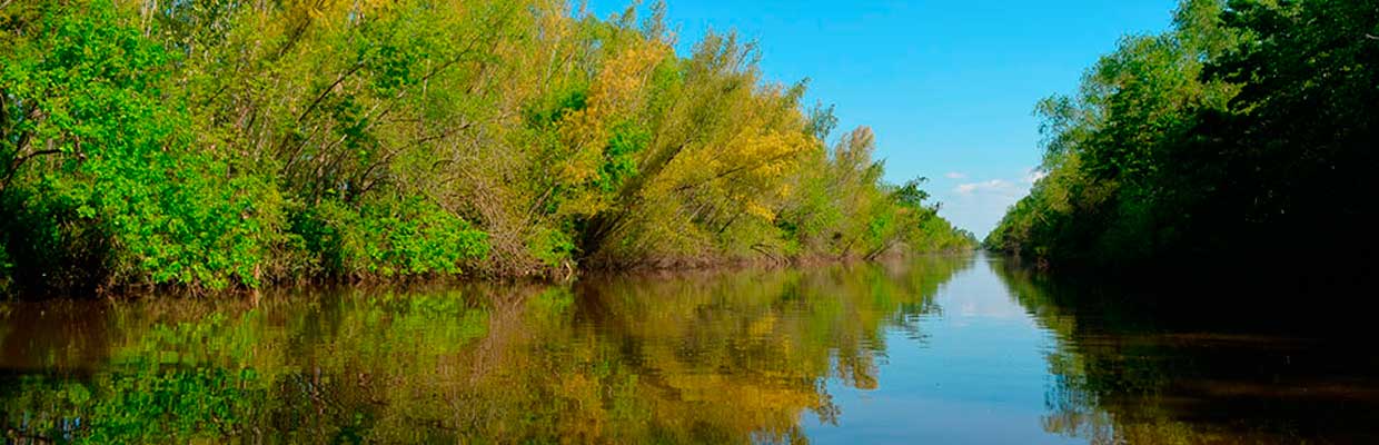 Bahías del Paraná