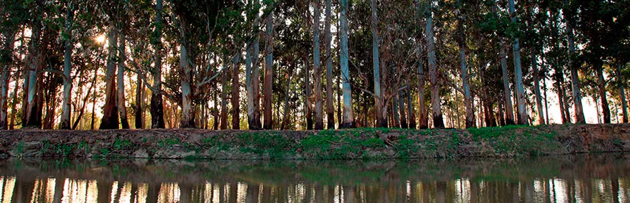 Bahías del Paraná