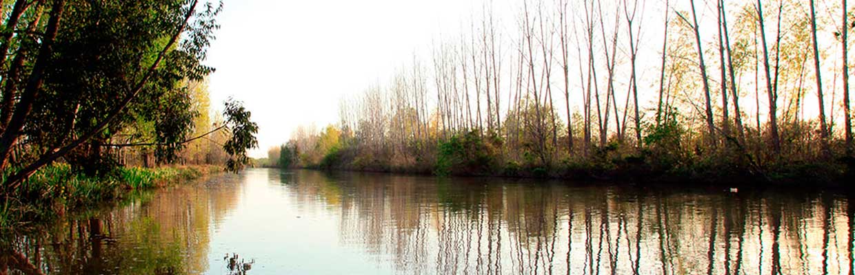 Bahías del Paraná